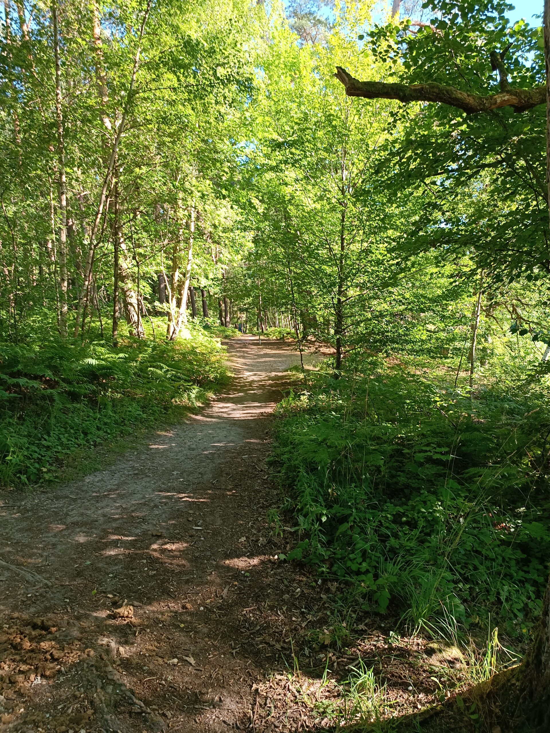 Home IMG 20220710 185111 Scaled